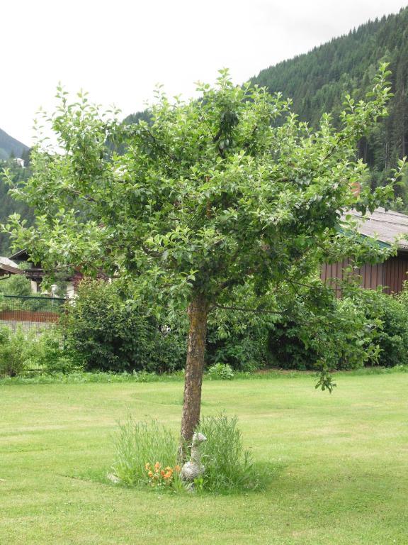 Haus Christophorus Apartment Bad Gastein Ngoại thất bức ảnh